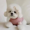 Autumn and Winter Dog Base Shirt Cute Love Heart Hoodie Dog Sweatshirt Cat Pet Love Warm Clothes Designer Dog Clothes
