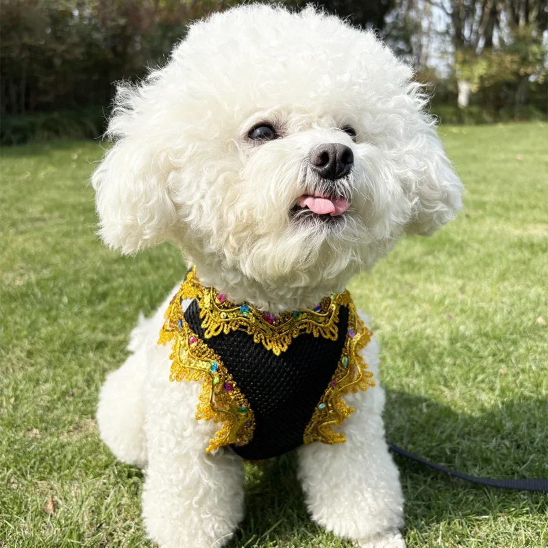 Ventilate Small Dog Harness Leash Sets Summer Soft Cat Harness and Leash Sets Adjustable Dog Harness Pet Leash Cat Accessories