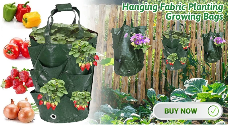 Wall Planter Birds Accessories Bird Feeders Outdoor Hummingbird Drinker Garden Feeder Flowerpot Hanger Drinking Feeding Supplies