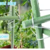 Wall Planter Birds Accessories Bird Feeders Outdoor Hummingbird Drinker Garden Feeder Flowerpot Hanger Drinking Feeding Supplies