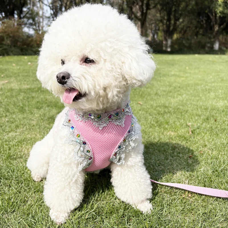 Ventilate Small Dog Harness Leash Sets Summer Soft Cat Harness and Leash Sets Adjustable Dog Harness Pet Leash Cat Accessories