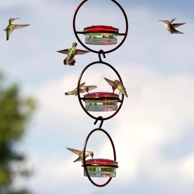 Wall Planter Birds Accessories Bird Feeders Outdoor Hummingbird Drinker Garden Feeder Flowerpot Hanger Drinking Feeding Supplies