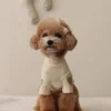 Autumn and Winter Dog Base Shirt Cute Love Heart Hoodie Dog Sweatshirt Cat Pet Love Warm Clothes Designer Dog Clothes