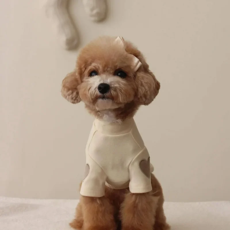 Autumn and Winter Dog Base Shirt Cute Love Heart Hoodie Dog Sweatshirt Cat Pet Love Warm Clothes Designer Dog Clothes