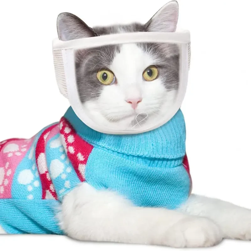 Pet Muzzle Anti-bite Adjustable Breathable Anti-scratch Small Pet Transparent Grooming Muzzle Cat Supplies