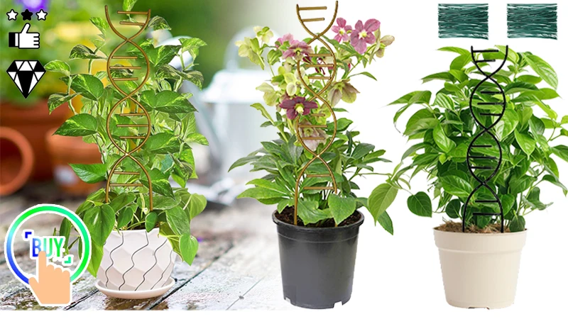 Wall Planter Birds Accessories Bird Feeders Outdoor Hummingbird Drinker Garden Feeder Flowerpot Hanger Drinking Feeding Supplies