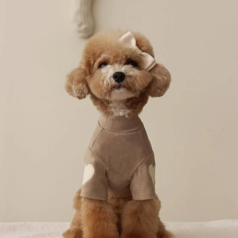 Autumn and Winter Dog Base Shirt Cute Love Heart Hoodie Dog Sweatshirt Cat Pet Love Warm Clothes Designer Dog Clothes