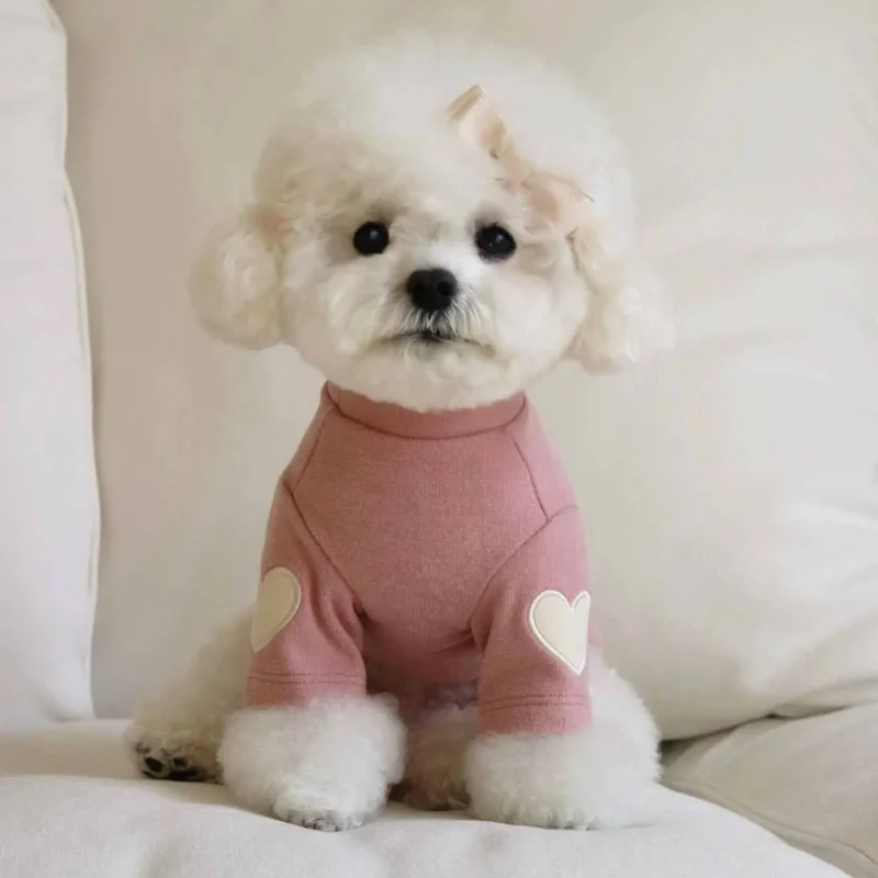 Autumn and Winter Dog Base Shirt Cute Love Heart Hoodie Dog Sweatshirt Cat Pet Love Warm Clothes Designer Dog Clothes