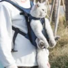 Portable Breathable Cat Bag Pet Travel Tote Bag Backpack For Carrying Pets On Both Shoulders Outdoor Travel Set For Cats And Dog