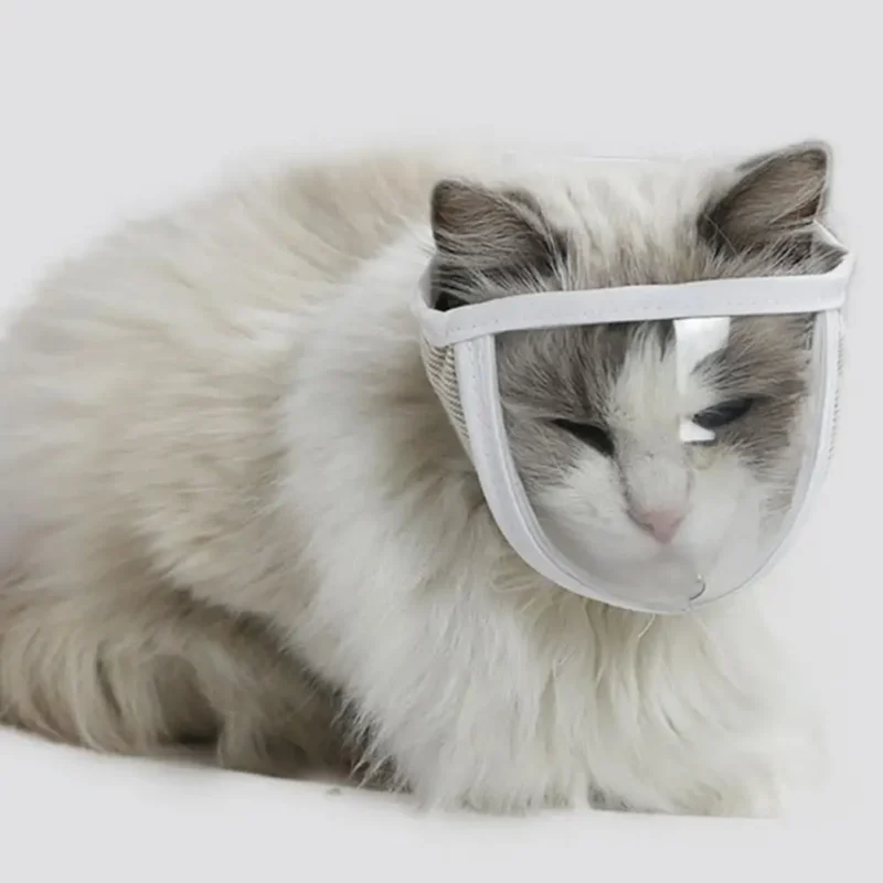 Pet Muzzle Anti-bite Adjustable Breathable Anti-scratch Small Pet Transparent Grooming Muzzle Cat Supplies