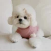 Autumn and Winter Dog Base Shirt Cute Love Heart Hoodie Dog Sweatshirt Cat Pet Love Warm Clothes Designer Dog Clothes
