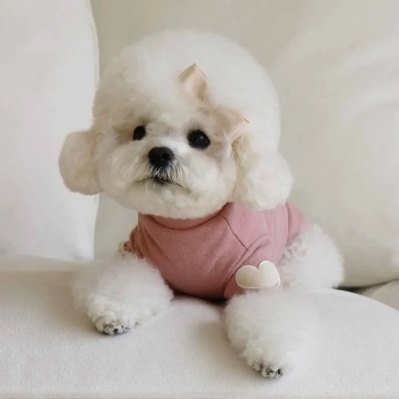 Autumn and Winter Dog Base Shirt Cute Love Heart Hoodie Dog Sweatshirt Cat Pet Love Warm Clothes Designer Dog Clothes