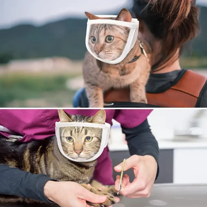 Pet Muzzle Anti-bite Adjustable Breathable Anti-scratch Small Pet Transparent Grooming Muzzle Cat Supplies