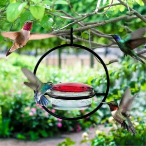 Wall Planter Birds Accessories Bird Feeders Outdoor Hummingbird Drinker Garden Feeder Flowerpot Hanger Drinking Feeding Supplies