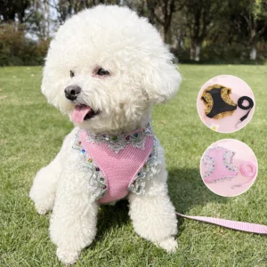 Ventilate Small Dog Harness Leash Sets Summer Soft Cat Harness and Leash Sets Adjustable Dog Harness Pet Leash Cat Accessories