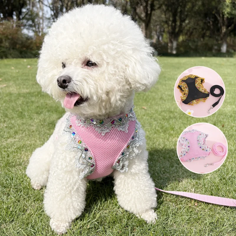 Ventilate Small Dog Harness Leash Sets Summer Soft Cat Harness and Leash Sets Adjustable Dog Harness Pet Leash Cat Accessories