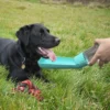 550ml Foldable Leakproof Dog Water Bottle Portable Outdoor Travel Hiking Drinking Bowl for Small Large Dogs Cats Food Grade Mate