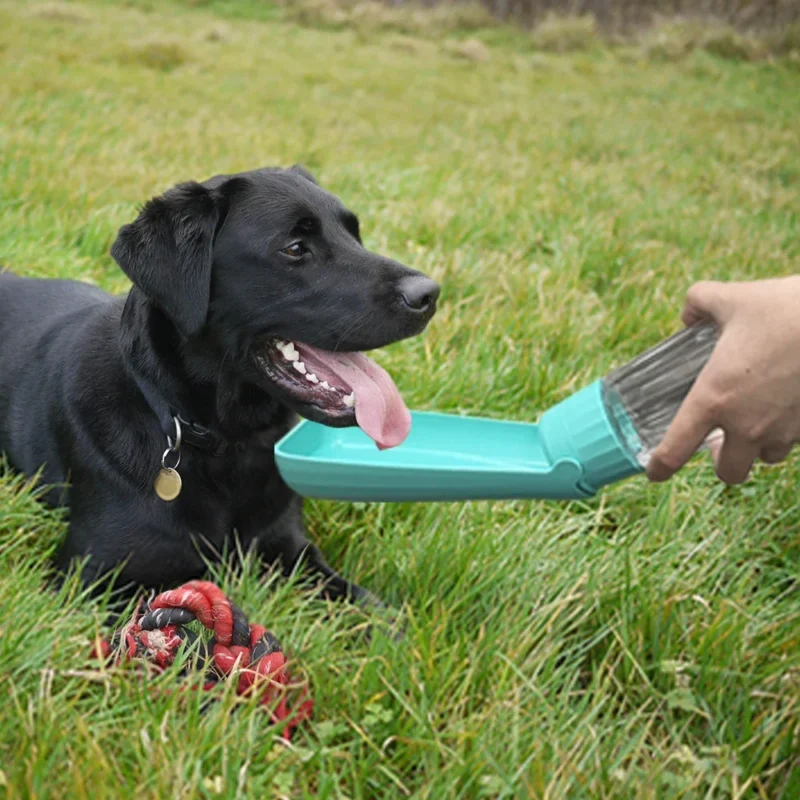 550ml Foldable Leakproof Dog Water Bottle Portable Outdoor Travel Hiking Drinking Bowl for Small Large Dogs Cats Food Grade Mate