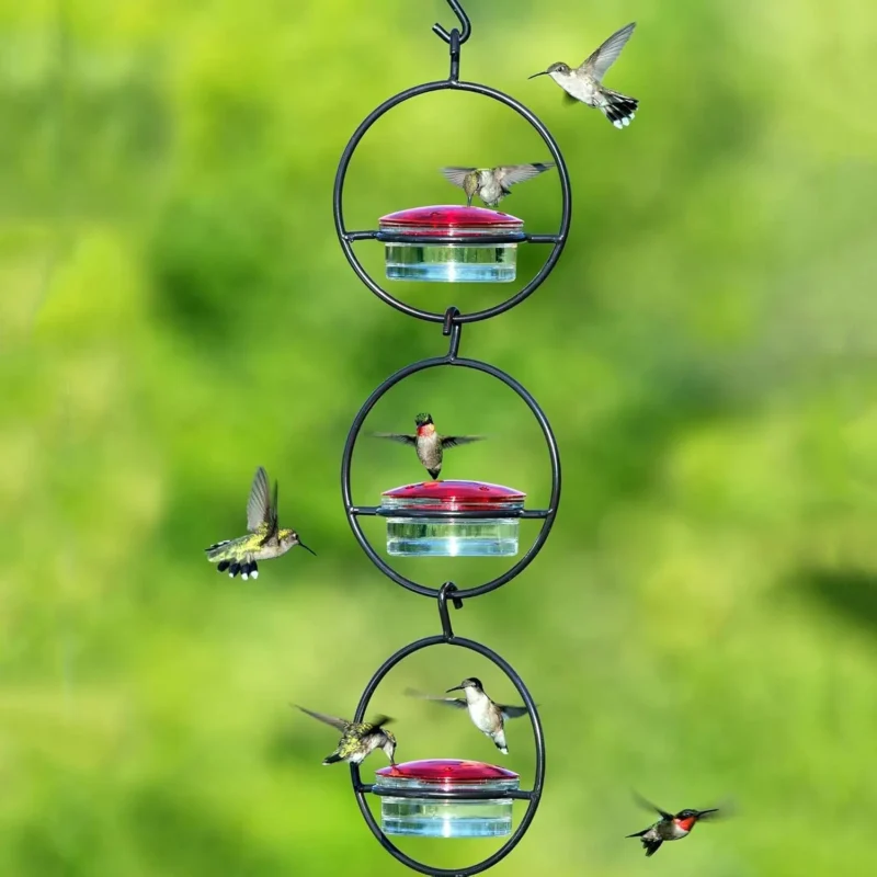 Wall Planter Birds Accessories Bird Feeders Outdoor Hummingbird Drinker Garden Feeder Flowerpot Hanger Drinking Feeding Supplies