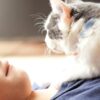 PaiPaitek Cat Training Collar,Cat Shock Collar with Remote ,Cat Stop Meowing Collar, Remote Control/Automatic Anti-Meow for Cats