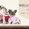 Portable Dog Training Toilet Indoor Dogs Potty Pet Toilet for Small Dogs Cats Cat Litter Box Puppy Pad Holder Tray Pet Supplies