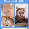 PaiPaitek Cat Training Collar,Cat Shock Collar with Remote ,Cat Stop Meowing Collar, Remote Control/Automatic Anti-Meow for Cats
