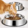 Stainless Steel Pet Dog Bowl Stainless Steel Feeder Skidproof Anti-Tipping Shape Cat Dog Bowls Thickened Easy to Clean Non-Slip