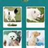 Bite resistant animal gloves Multi-purpose pet gloves Welding treatment training dog safety gloves