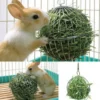 Stainless Steel Pet Rabbits Toys Round Sphere Feed Dispense Exercise Hanging Straw Ball For Guinea Hamster Rat Grass Rack Ball