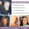 Wear And Go 100 Half Bob Wigs Human Hair 13x6 Glueless Lace Front Braided Wig Hd Frontal Kinky Burmese Curly Bob Deep Wave Water