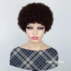 Afro Kinky Curly Wig - Human Hair,  Fluffy - Natural Looking, Effortlessly Stylish  for Women Machine Made