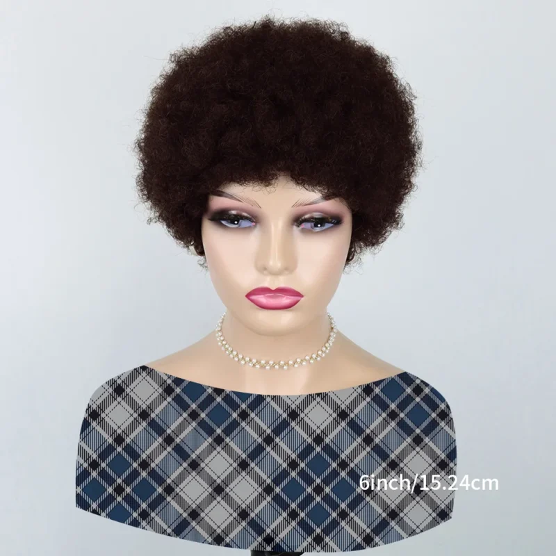 Afro Kinky Curly Wig - Human Hair,  Fluffy - Natural Looking, Effortlessly Stylish  for Women Machine Made