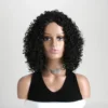 12 Inch Synthetic Afro Black Curly Wigs for Women Wave African American Wig with Side Bang Natural Hairstyles Full Hair Replacem