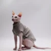 DUOMASUMI Summer Cat Vest for Hairless Breeds - Stretch Cotton & Ultra-Soft Cooling Top for Sphynx, Devon Rex& Abyssinian Cats