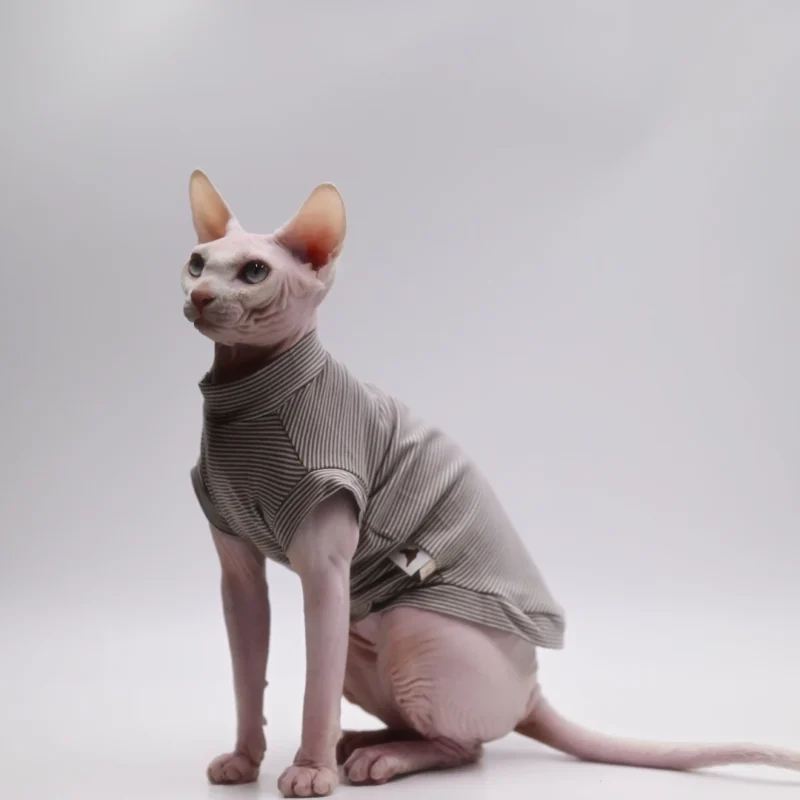 DUOMASUMI Summer Cat Vest for Hairless Breeds - Stretch Cotton & Ultra-Soft Cooling Top for Sphynx, Devon Rex& Abyssinian Cats