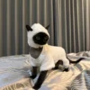 Hairless cat clothes autumn and winter thickened polar fleece warm four-legged sphinx devon cat lamb double-sided fleece cotton