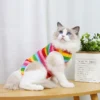 Cat Weaning Sterilization Suit Small Dog Cats Jumpsuit Anti-lick Recovery Clothing After Surgery Cute Print Pet Care Clothes