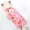 Cat Weaning Sterilization Suit Small Dog Cats Jumpsuit Anti-lick Recovery Clothing After Surgery Cute Print Pet Care Clothes