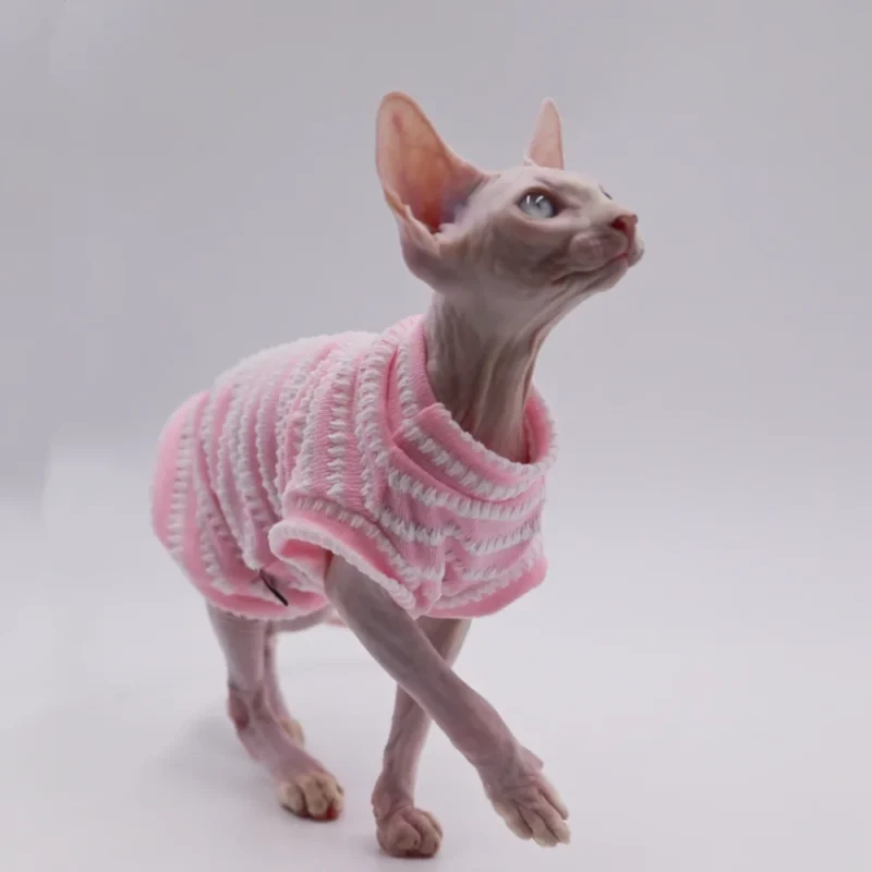 DUOMASUMI Summer Cat Vest for Hairless Breeds - Stretch Cotton & Ultra-Soft Cooling Top for Sphynx, Devon Rex& Abyssinian Cats