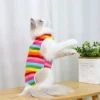 Cat Weaning Sterilization Suit Small Dog Cats Jumpsuit Anti-lick Recovery Clothing After Surgery Cute Print Pet Care Clothes