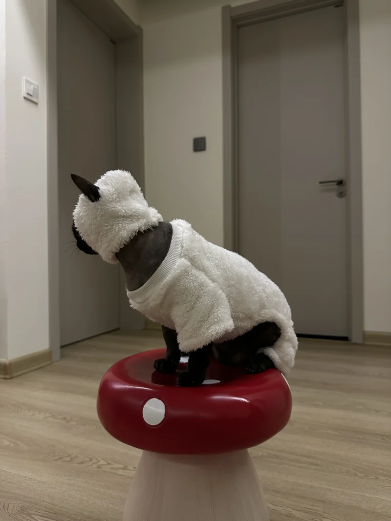 Hairless cat clothes autumn and winter thickened polar fleece warm four-legged sphinx devon cat lamb double-sided fleece cotton
