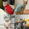 Sa04c8b3701aa4937b270e1f9596a82595.webp Soft Cozy Cat Clothes Winter Warm Fleece Costume Autumn Sphynx Vest Sweater for Small Dog Pullover Kitten Pet Jacket Coat Outfit