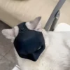 Cat Mask