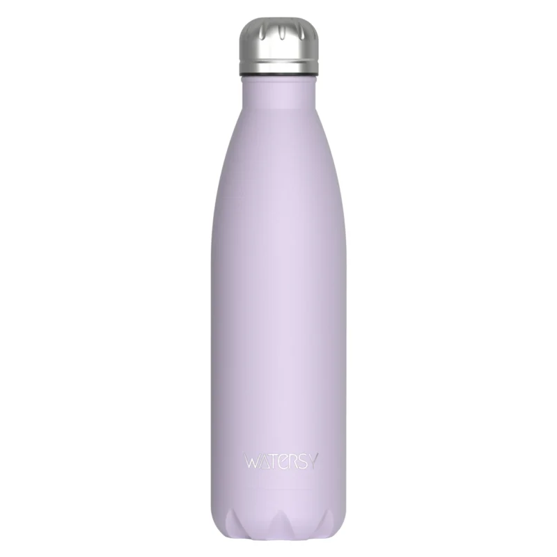 500ML Stainless Steel Thermal Bottle Double Vacuum Flasks Insulated Cup for Hot and Cold Sports Water Bottle Car Travel Mug