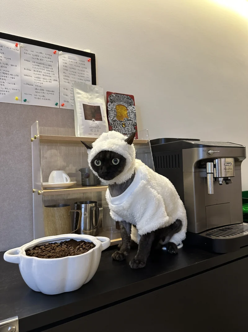 Hairless cat clothes autumn and winter thickened polar fleece warm four-legged sphinx devon cat lamb double-sided fleece cotton