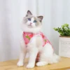 Cat Weaning Sterilization Suit Small Dog Cats Jumpsuit Anti-lick Recovery Clothing After Surgery Cute Print Pet Care Clothes