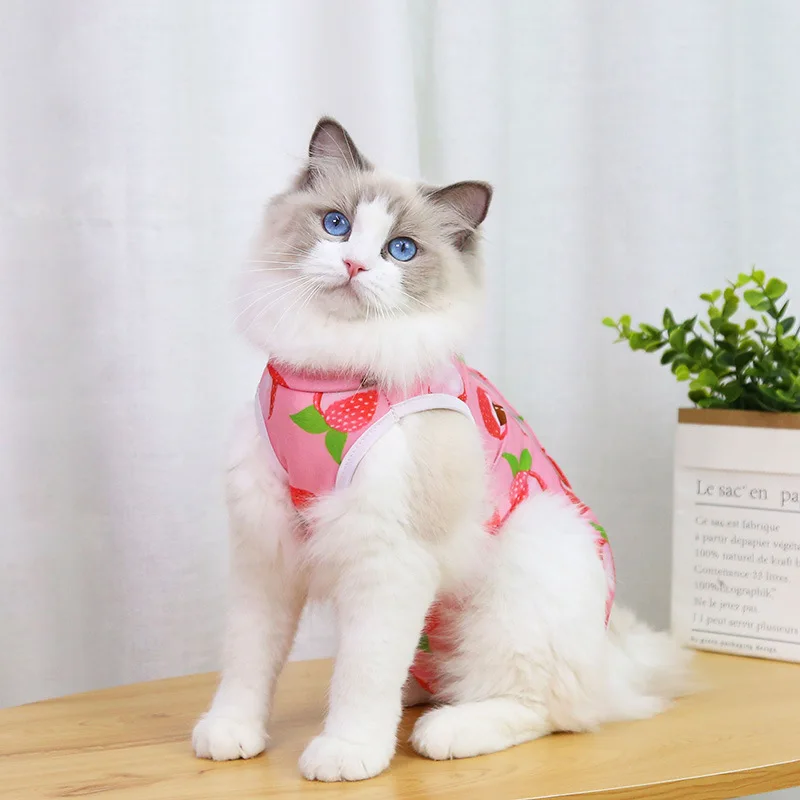 Cat Weaning Sterilization Suit Small Dog Cats Jumpsuit Anti-lick Recovery Clothing After Surgery Cute Print Pet Care Clothes