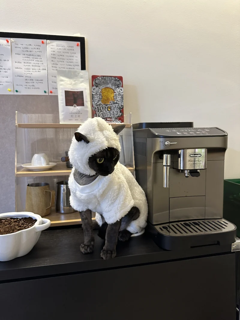 Hairless cat clothes autumn and winter thickened polar fleece warm four-legged sphinx devon cat lamb double-sided fleece cotton