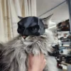 Cat Mask