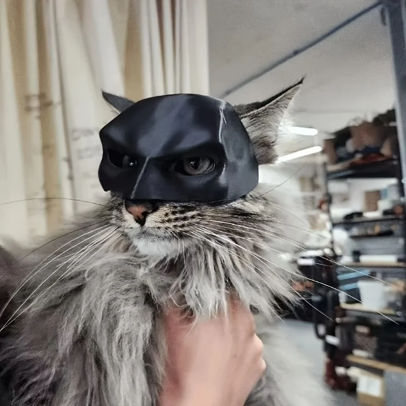 Cat Mask